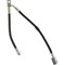 Centric Parts BRAKE HOSE 150.42081 - alternate 1